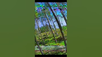 Flying in the trees with my #fpv Drone