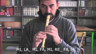Mi Amargura - Flauta dulce chords