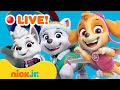 🔴 LIVE: PAW Patrol&#39;s Girl Power Rescues &amp; Adventures! w/ Everest &amp; Skye | Nick Jr.