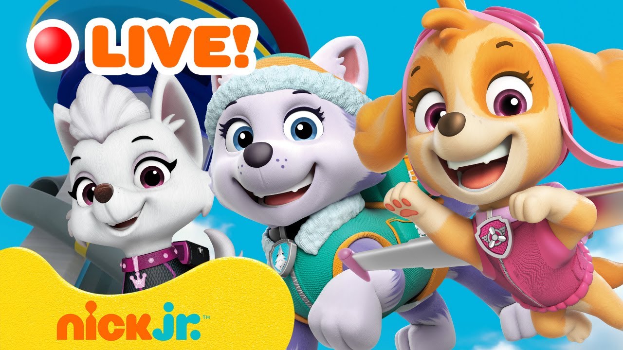 Ps4 games sale like paw patrol