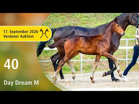 40 466 Dynamic Dream Fürst Romancier END