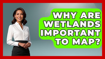 Why Are Wetlands Important To Map? - The Geography Atlas