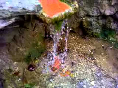 родник гремучий дубовка. родник серебряный ключ анциферово. зол родник. родник "монастырский колодезь". кипун родник в изборске.