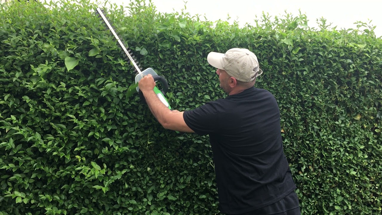 ‏طريقة استخدام منشار تقليم الأشجار في المنزل