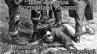 How America Normalized Racism The Black Codes: Gun Control