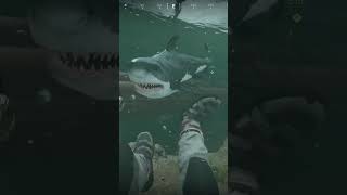 Wheres The Shark? Prison Hard Mode