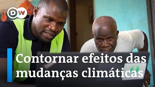 Costa do Marfim aposta na digitalização da agricultura screenshot 1