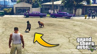 ¿Que Pasa Si Llevamos a Chop A Groove Street y se Enfrenta a los Ballas GTA 5?