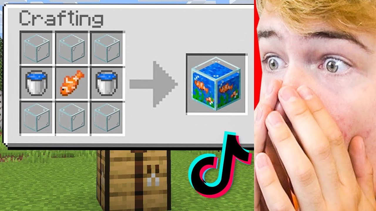 MINECRAFT LIFEHACKS TESTEN Die 100% ECHT ZIJN!