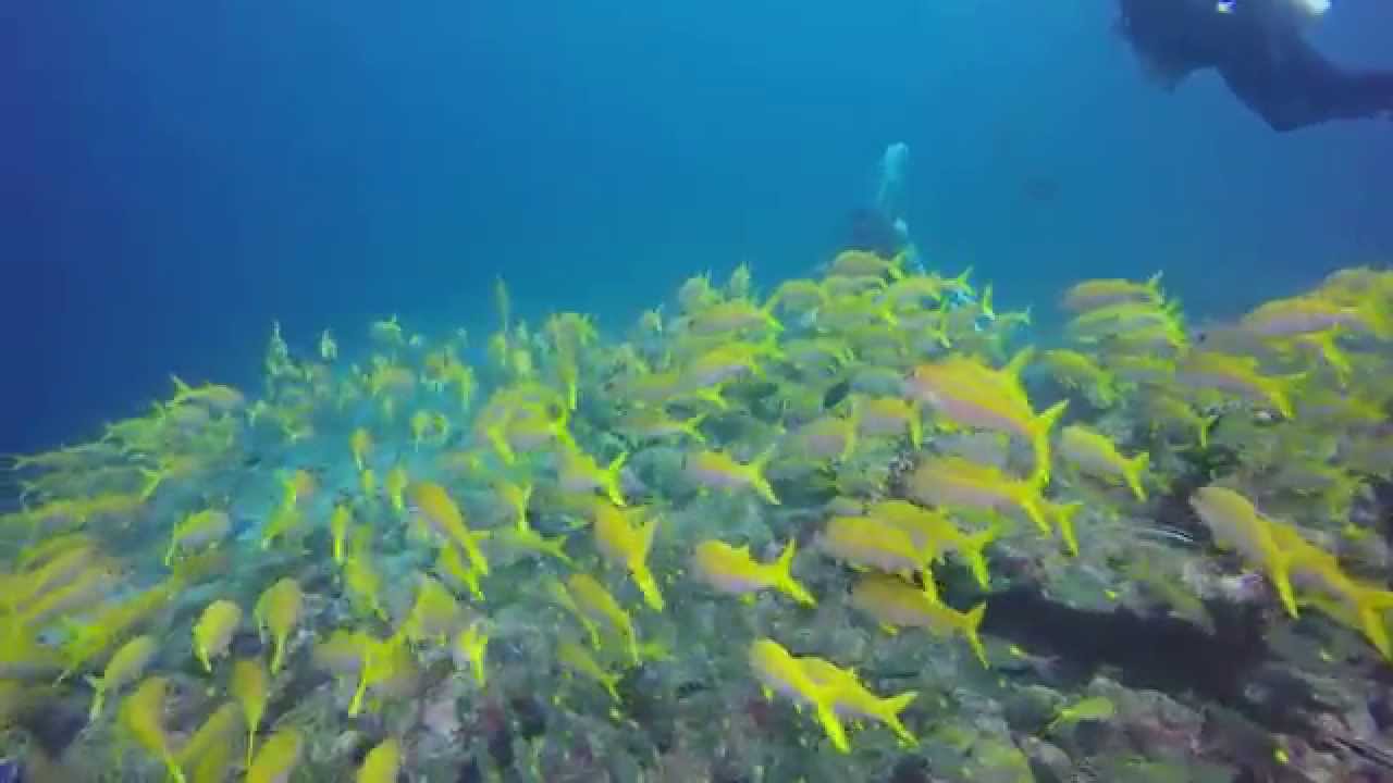 4k maldives diving nov 2014, luxemiles.com