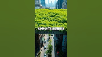 Exploring Urban Green Roofs for Sustainable Living