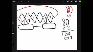 Sew Net Hawaii - How to determine eye count for your net screenshot 4