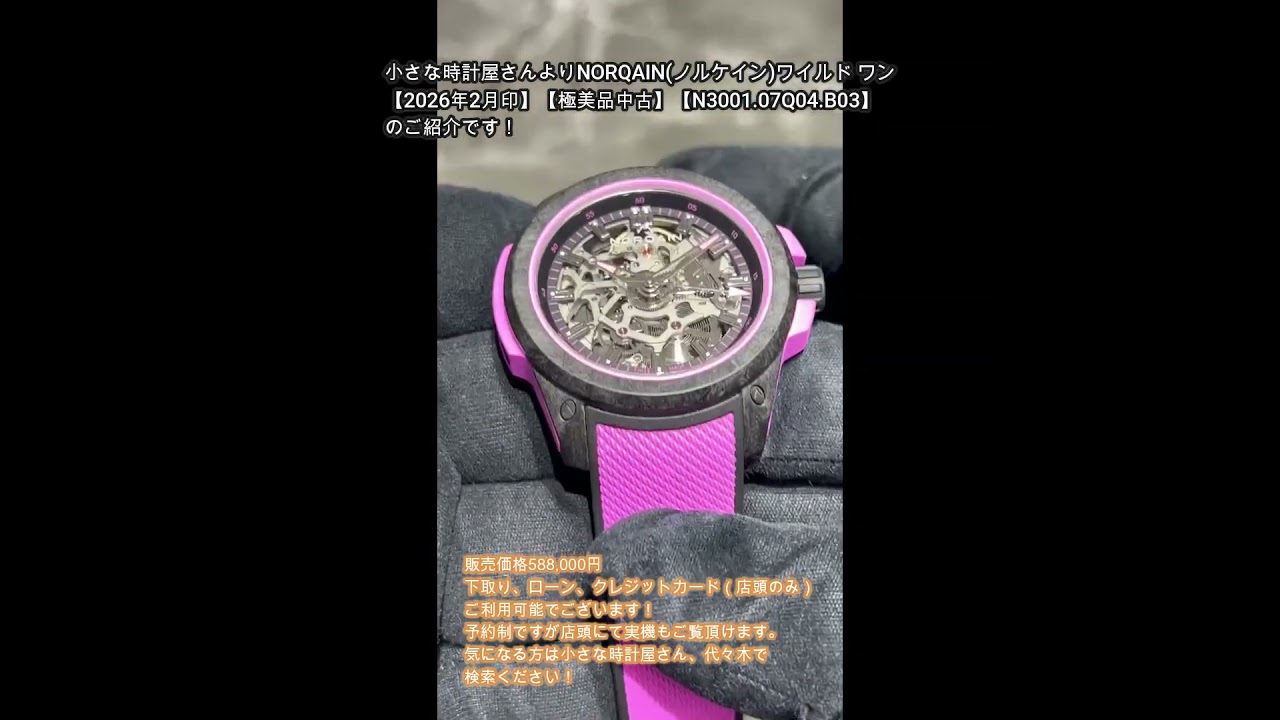 NORQAIN(ノルケイン)ワイルド ワン【2026年2月印】【極美品中古