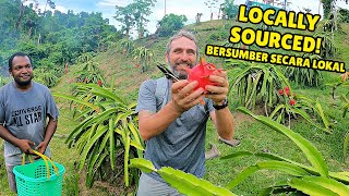 DRAGON FRUIT FARMING in RAJA AMPAT, INDONESIA 🇮🇩 | BUAH NAGA MERAH | West Papua, INDONESIA