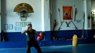 Ngo Cho Kun - Sang Sao Kun- Sifu Ademilson Felisberto Reis - Brazil