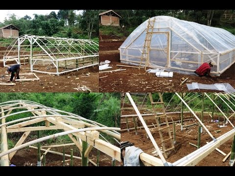 Cara Mudah dan Murah Membuat Green House Ikan dan Tanaman 