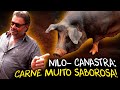 PORCO NILO-CANASTRA: UMA CARNE ÚNICA E SABOROSA!