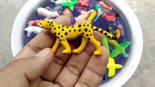 Learn Wild Animals Names Sounds Part 499