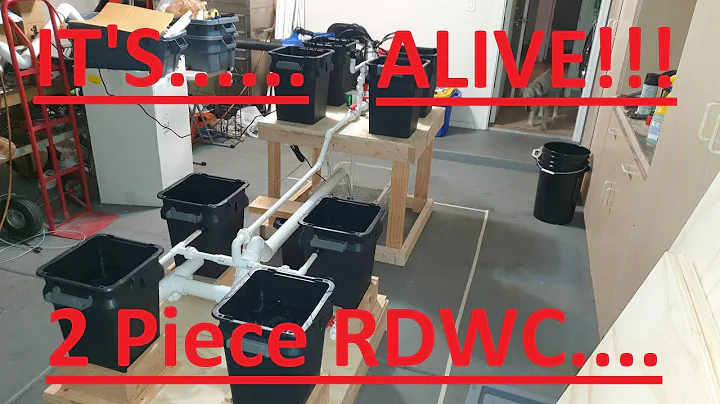 RDWC double system Build.... Complete!!!