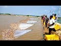 PRAWN/SHRIMP HARVESTING