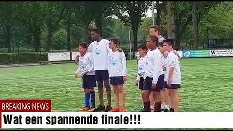 4d287835 ea38 4fcb bbab ef46487aeba2