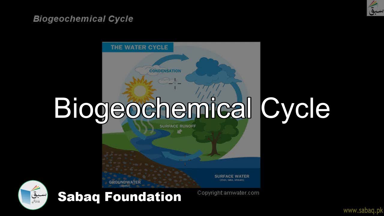 Biogeochemical Cycle, Biology Lecture | Sabaq.pk - YouTube