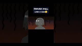 Sakura Smell Like A Dog