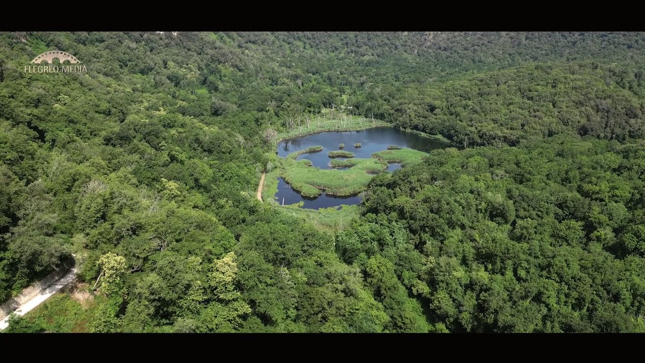 Campi Flegrei - Il Cratere degli Astroni e il suo fascino - Documentario