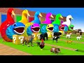 5 Giant Duck Cartoon,Tiger,Cow,rabbit,Gorilla,Hamsters,Dog,Cat Wild Animals Crossing Fountain