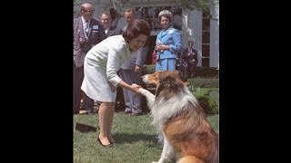 Lassie - Episode #435 - "Lassie's Litter Bit" Season 13, Ep.18  - 1/22/1967