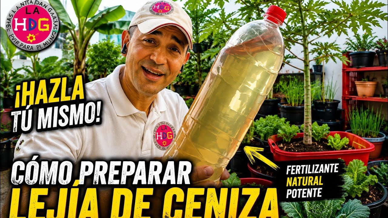 Como Hacer La Lejia De Ceniza El Mejor Insecticida Natural Y