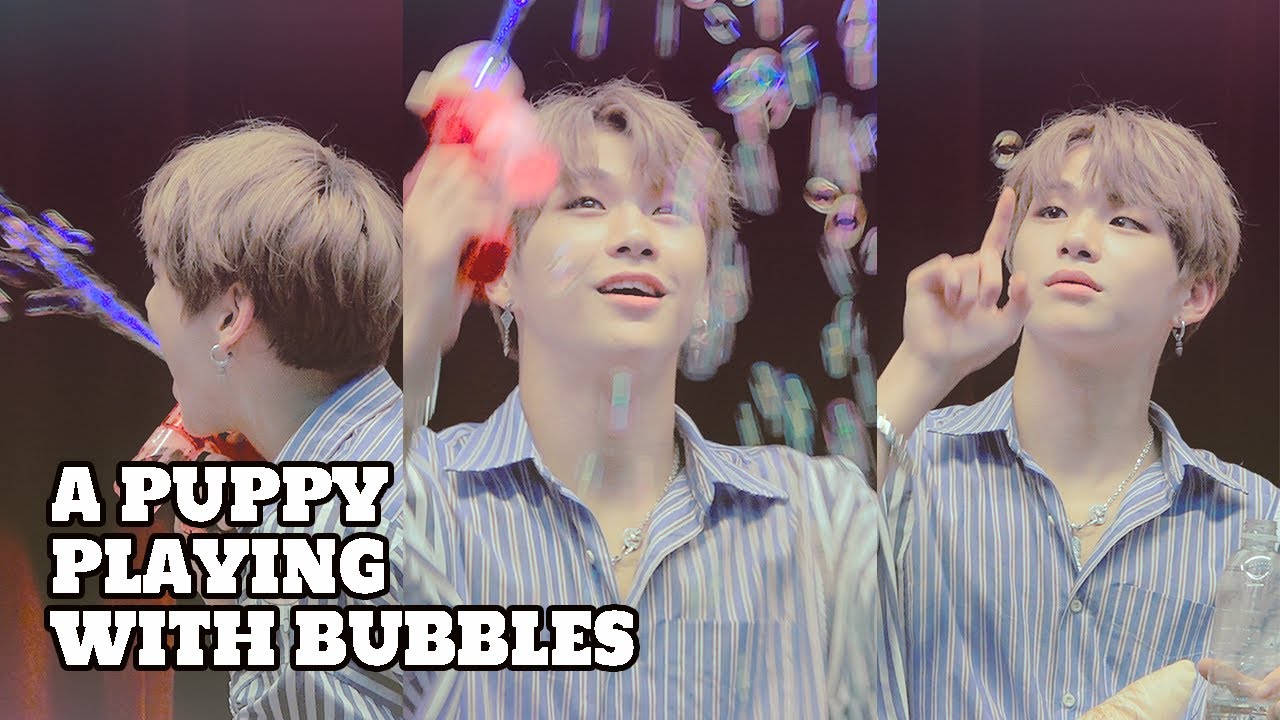 강아지에게 비누방울 장난감을 줬을때 반응 ㅋㅋㅋ Kang Daniel playing with bubbles