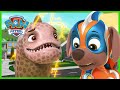 Mighty Pups Save a Giant Eel | PAW Patrol Episode | Cartoons for Kids