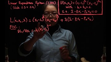 1. Linear Expenditure System LES - part 1 (Choice & Demand week 2)