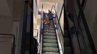 Contortionists Ride The Escalator A Hilarious Moment 