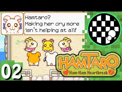 Vídeo: Hamtaro: Desgosto De Presunto