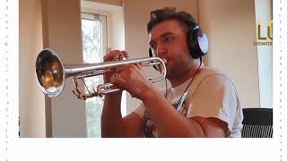 Why are instruments classified into families