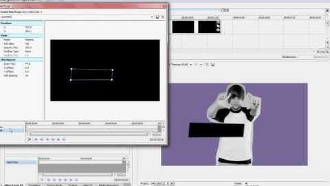 Sony Vegas Tutorial || Effect #11