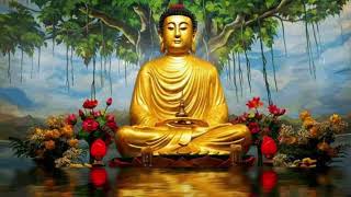 Namo Tashya Bhagvato Arahto Samma Sambuddhashya 5 July 2025 Bhagwan