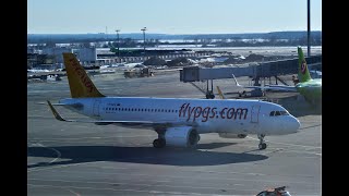 A320neo Pegasus Airlines | Рейс Москва - Стамбул