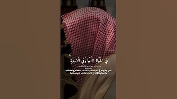 ﴿ إِنَّ الَّذِينَ قَالُوا رَبُّنَا اللَّهُ.. ماتيسر من سورة فصلت | ناصر القطامي