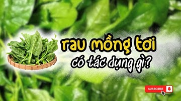 ĂN RAU MỒNG TƠI CÓ TÁC DỤNG GÌ? 5 LỢI ÍCH CỦA RAU MỒNG TƠI VỚI SỨC KHOẺ KHIẾN BẠN BẤT NGỜ