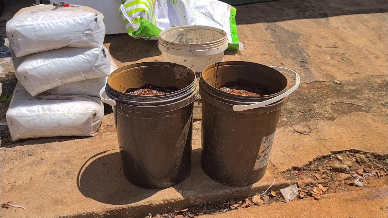 How to make home made fertilizer blend ( 3.1.3 15 Sulphate) YouTube