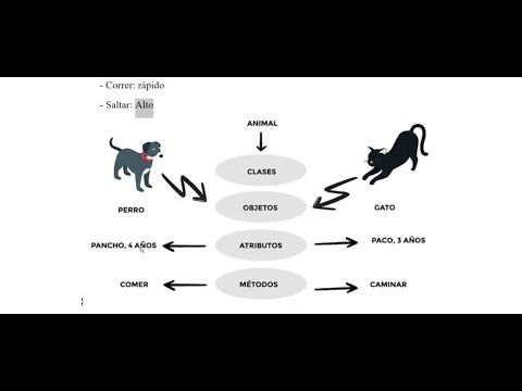 Programación Orientada a Objetos (POO) en JavaScript - YouTube