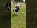 Luca,come here!