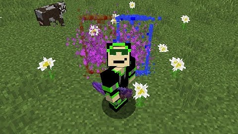 Minecraft Portal Gun! Minecraft Commands