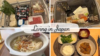 housewife daily | shopping at the supermarket, Muji and Daiso, cook lunch and dinner by Linna in Japan 41,028 views 1 month ago 20 minutes