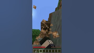 Speedrunning Killing Random Minecraft Mobs #8: Donkey #minecraft #gaming #survival #speedrun