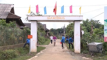 Tin Tức 24h Mới Nhất: Tăng cường vai trò của thanh niên trong xây dựng nông thôn mới