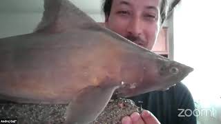 Explorer Classroom | All About Sharks with Andrej Gajić
